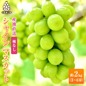 yӂ邳Ɣ[Łz1.5kg/2kg (2`3[/3`4[) ͔_܂̓IVC}XJbg (Ȃ)_ ӂ邳Ɣ[ ӂ邳 }XJbg Ԃǂ uhE  t[c ʕ  y