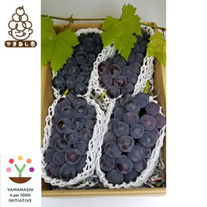 �y�ӂ邳�Ɣ[�Łz�y2026�����\��z�_�ƒ��ǂ�햳������@3�`5�[����@�R���s�Y�n�����@��2kg�ȏ�y�z���s�n��F�����z�y1178163�z