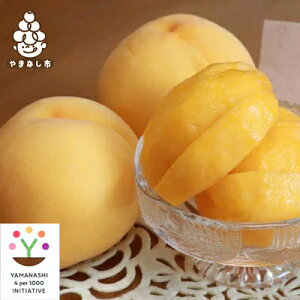 �y�ӂ邳�Ɣ[�Łz�y2026�����\��z�������@�_�ƒ��ǂ蒼�����I���@4�`6�ʓ���@2kg�ȏ�y�z���s�n��F�����z�y1178166�z