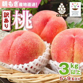 【ふるさと納税】【2026発送予定】【訳あり品】ご家庭桃・朝もぎ産地直送・3kg以上【配送不可地域：離島】【1178167】