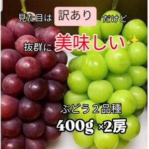 �y�ӂ邳�Ɣ[�Łz�y2026�����\��z�y�󂠂�z����2�F���艻�ϔ�����@�R���s�Y�n�����@��400g×2�[�y�z���s�n��F�����z�y1178185�z