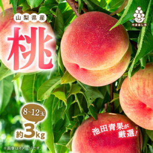yӂ邳Ɣ[ŁzRsY@@2kg (5~8)/3kg (8ʁ`12)yzsnFEꌧzyG1280520z