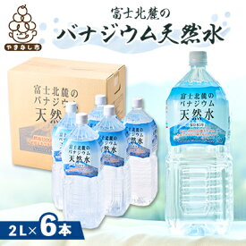 【ふるさと納税】富士麗水ミネラルウォーター(2L 1箱6本入り)【1565105】