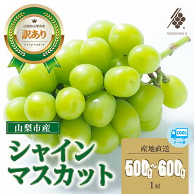 【ふるさと納税】【先行予約2026年発送】 シャインマスカット 房(1房/2～3房/4～6房) 【訳あり】【配送不可地域：離島・沖縄県】【G1567960】