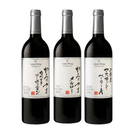 【ふるさと納税】サントネージュワインおすすめ赤ワイン3本セット【1570590】