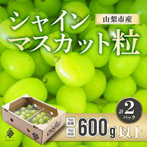 yӂ邳Ɣ[Łzys\2026Nz VC}XJbg  600g I[o[ y󂠂z Ԃǂ JbgyzsnFEkCEꌧElEBzy1579980z