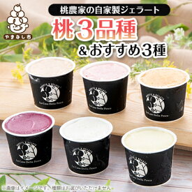【ふるさと納税】カフェラペスカのジェラート　桃3品種とセレクト3個【配送不可地域：離島】【1591418】