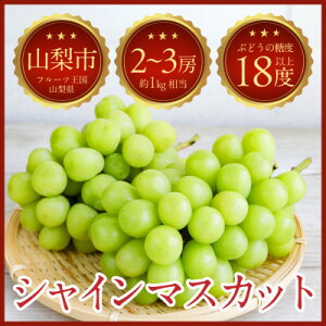 yӂ邳Ɣ[Łzy2025NzRRsqu lC̃VC}XJbg 2`3[(1kg)yzsnFEꌧzy1635880z