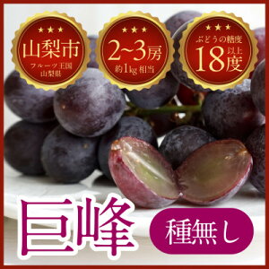 yӂ邳Ɣ[Łzy2025NzRRsqu lC̎햳 2`3[(1kg)yzsnFEꌧzy1635884z