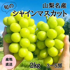 yӂ邳Ɣ[Łz2025NYn RY!{̃VC}XJbg 3`5[(v2kg)yzsnFzy1640708z
