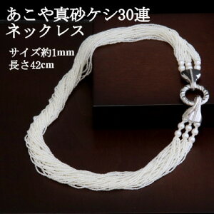 yӂ邳Ɣ[ŁzSV^썻PVy30Az42cmyzsnFꌧzy1643784z