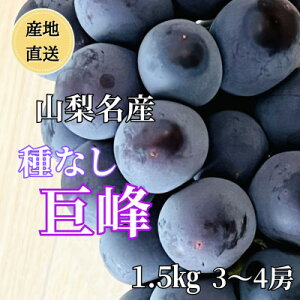yӂ邳Ɣ[Łz2026NNYn RY!Ȃ 3`4[(1.5kg)yzsnFzy1644827z