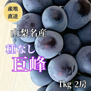 yӂ邳Ɣ[Łz2025NYn@RY!Ȃ@2[(v1kg)yzsnFzy1644828z