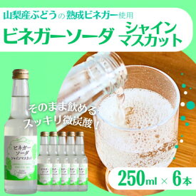 【ふるさと納税】山梨産ぶどう100%の熟成ビネガーの、そのまま飲める「ビネガーソーダシャインマスカット6本セット」【1658078】