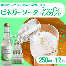 【ふるさと納税】山梨産ぶどう100%の熟成ビネガーの、そのまま飲める「ビネガーソーダシャインマスカット12本セット」【1658113】