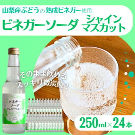 【ふるさと納税】山梨産ぶどう100%の熟成ビネガーの、そのまま飲める「ビネガーソーダシャインマスカット24本セット」【1658353】