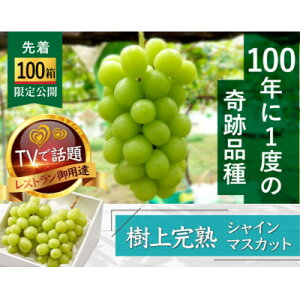 【ふるさと納税】【先着100箱限定】ギリギリまで完熟させた市場に出回らない『樹上完熟シャインマスカット』約2kg【配送不可地域:離島】【1659951】