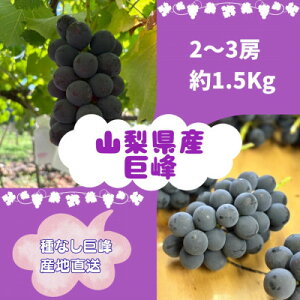 yӂ邳Ɣ[Łzy2026Ns\z2`3[(1.5kg)yzsnFzy1667737z