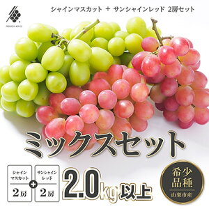 yӂ邳Ɣ[Łzys\2026Nz VC}XJbg 2[ & TVCbh 2[ (v2kgȏ)yzsnFEꌧzy1670110z