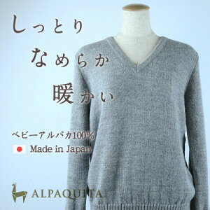 yӂ邳Ɣ[Łzxr[ApJ100%Z[^[ fB[X VlbN CgO[ LTCYy1672918z
