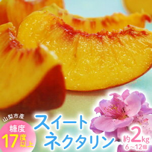 yӂ邳Ɣ[Łz2026Ns@XC[glN^@2kg(6`12)yzsnFEkCEꌧEElEBzy1676551z