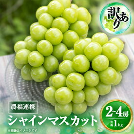 【ふるさと納税】新登場!! _2026年先行予約【見た目は訳あり?味は満足!】農福連携シャインマスカット計1kg【ご家庭用】_ シャインマスカット マスカット ぶどう 葡萄 山梨県 山梨市 フルーツ 果物 くだもの 訳あり わけあり【配送不可地域：離島】【1679907】