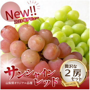 yӂ邳Ɣ[Łz2026Nyʌz󏭂ȐViTVCbhƑlCVC}XJbgґ2[ZbgyzsnFEꌧzy1688207z