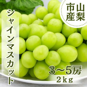 yӂ邳Ɣ[Łzy2026Ns\z݂VC}XJbg 2kg(3`5[)yzsnFzy1689779z