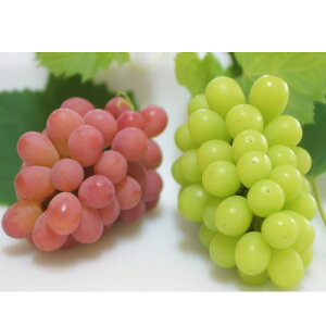 yӂ邳Ɣ[Łzy2026NzTVCbh&VC}XJbg ґ2FHה v1kg y_AgzyzsnFzy1690334z