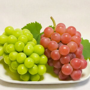 yӂ邳Ɣ[Łzy2026NzVC}XJbg&TVCbhɂɂHה׃Zbgv1kgyʌzyzsnFzy1690563z