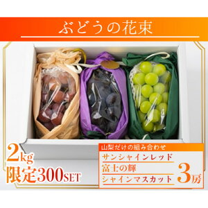 �y�ӂ邳�Ɣ[�Łz�y2026�N��s�\��z�T���V���C�����b�h �x�m�̋P �V���C���}�X�J�b�g 2kg 3�[(�e1�[)�y�z���s�n��F�����z�y1694811�z