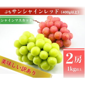 �y�ӂ邳�Ɣ[�Łz�y2026�N��s�\��z�T���V���C�����b�h�ƃV���C���}�X�J�b�g�@���������󂠂�v1kg�l�ߍ��킹�y�z���s�n��F�����z�y1694812�z