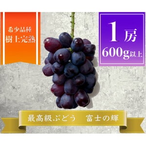 �y�ӂ邳�Ɣ[�Łz�y2026�N��s�\��z�x�m�̋P �v600g 1�[ �R�����Y�y�z���s�n��F�����z�y1694814�z