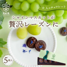 【ふるさと納税】シャインマスカットレーズンのチョコレートマンディアン 5個入 山梨県産シャインマスカット使用【1694883】