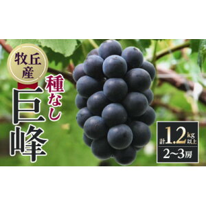 �y�ӂ邳�Ɣ[�Łz�y2026�N�����@��s�\��z�R������!!��Ȃ�����2�`3�[(1.2kg�ȏ�)�y�z���s�n��F�����E���ꌧ�z�y1695493�z