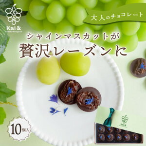 �y�ӂ邳�Ɣ[�Łz�V���C���}�X�J�b�g���[�Y���̃`���R���[�g�}���f�B�A�� 10�� �R�����Y�V���C���}�X�J�b�g�g�p�y1697053�z