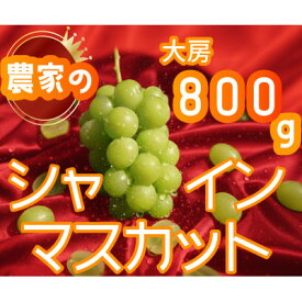 【ふるさと納税】シャインマスカット 1房 800g 小さな農家のこだわりシャイン【配送不可地域：離島】【1699610】
