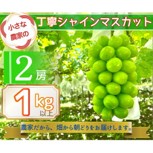 �y�ӂ邳�Ɣ[�Łz�y2026�N��s�\��z�����Ȕ_�Ƃ̒��J�V���C���}�X�J�b�g�v1kg2�[����y�z���s�n��F�����z�y1699611�z