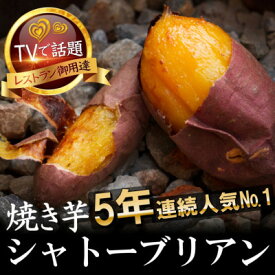 【ふるさと納税】【糖度50度オーバー】100日熟成ギリギリまで糖化したシャトーブリアン焼き芋2027年2月上旬～発送【1729204】