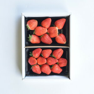 yӂ邳Ɣ[ŁzyŒցzRsY@{̃t[c֑S4yzsnFEꌧzy4074306z