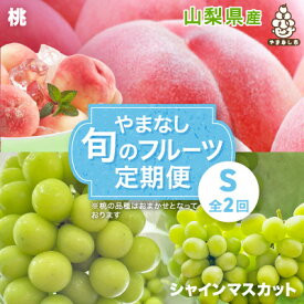 【ふるさと納税】【発送月固定定期便】やまなし旬のフルーツ定期便(桃・シャインマスカット)【S】全2回【配送不可地域：離島】【4077908】