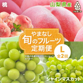 【ふるさと納税】【発送月固定定期便】やまなし旬のフルーツ定期便(桃・シャインマスカット)【L】全2回【配送不可地域：離島】【4077910】