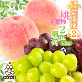 【ふるさと納税】【発送月固定定期便】山梨旬の味覚定期便【桃 約1kg/2色葡萄 1kg以上】全2回【配送不可地域：離島】【4082867】