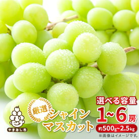 【ふるさと納税】2026年発送 山梨県産 シャインマスカット 約500g / 約1kg / 約2.5kg _ シャインマスカット マスカット 果物 くだもの フルーツ 葡萄 ぶどう 人気 おすすめ 送料無料 山梨 秀品【配送不可地域：離島・沖縄県】【G1272527】