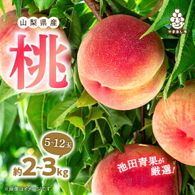 【ふるさと納税】山梨市産　桃　約2kg (5玉~8玉)/約3kg (8玉～12玉)_ 桃 もも 果物 フルーツ くだもの 山梨 人気 おすすめ 送料無料 贈答 ギフト 甘い 冷蔵 【配送不可地域：離島・沖縄県】【G1280520】