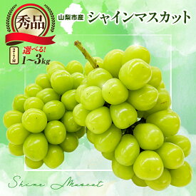 【ふるさと納税】シャインマスカット　1kg・1.2kg(2～3房)・2kg(3～5房)・3kg(4～7房) _ ふるさと納税 フルーツ 果物 ぶどう マスカット シャインマスカット 山梨市 山梨県 葡萄 【配送不可地域：離島】【G1442579】