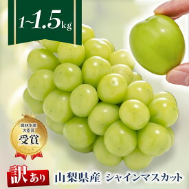 【ふるさと納税】【2026年 先行予約】【訳あり】シャインマスカット選べる内容量 1kg～1.5kg(2～4房)_ シャインマスカット 1kg 1.5kg フルーツ 果物 訳アリ 家庭用 ぶどう ブドウ くだもの 人気 マスカット 山梨県 山梨市 【配送不可地域：離島】【G1456435】
