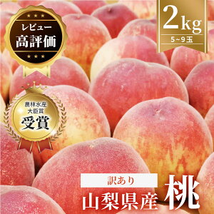 yӂ邳Ɣ[Łzys\ 2026Nzy󂠂z5`92kgȏ_ A 킯 ʕ t[c   lC  R { lC Yn ƒp   yzsn