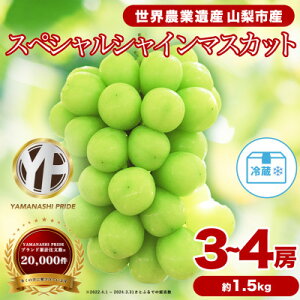 yӂ邳Ɣ[Łzys\zVC}XJbg 500g 1kg 1.5kg t[cRY I 1[`4[_t[c ʕ Ԃǂ uhE }XJbg   Mtg v[g ӂ邳 lC 