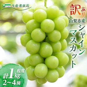 �y�ӂ邳�Ɣ[�Łz�y2026�N��s�\��z�󂠂�!���Y�Ғ����V���C���}�X�J�b�g �v1kg�y���ɂ͑Ë��Ȃ�!�z�y�z���s�n��F�����z�y1681114�z